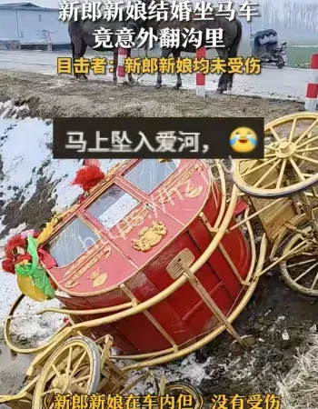新人婚礼马车