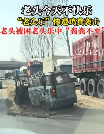 真是屎倒淋头了