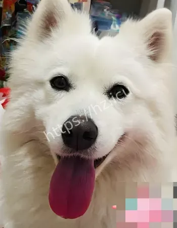 江苏连云港