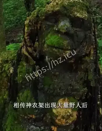 寻人队遇灰影