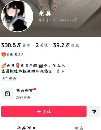 抖音百万粉丝网红