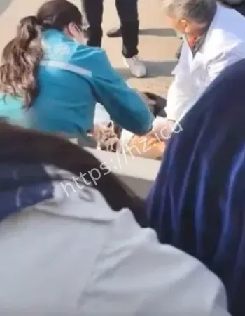 从背后捅死对方