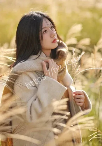 但在后续关注