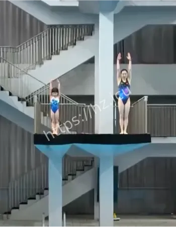 跳水冠军新搭档