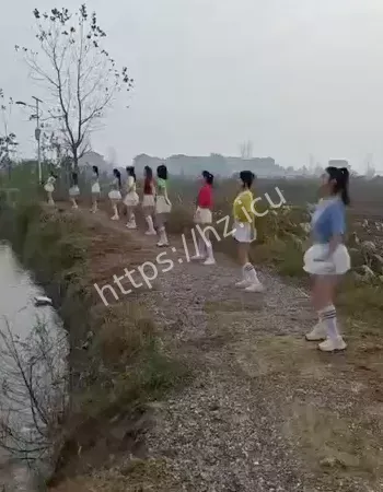 钓鱼圈也开始拼流量