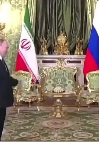 普京将会见伊朗外长