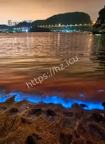 夜晚海水被点亮