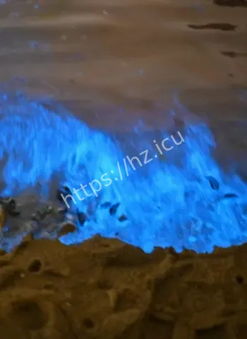 海岸惊现荧光海藻