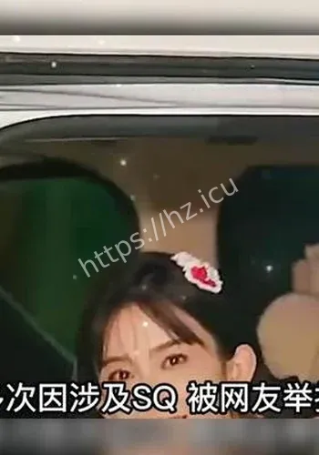 赵樱子自争议焦点