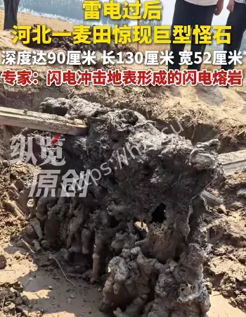 专家称是