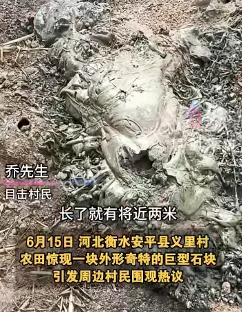 律师称属无主动产