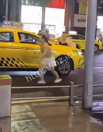 货车司机挑衅