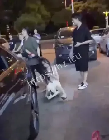 现场视频流出