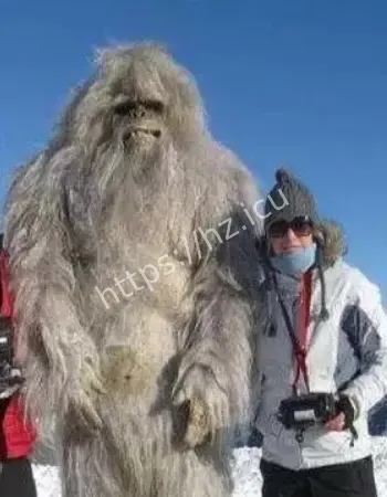 全球多地目击