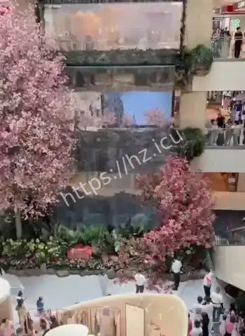西安赛格商户小老板