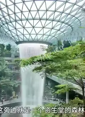 亚洲最贵国家新加坡